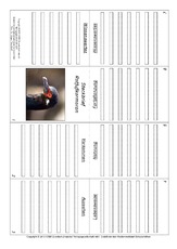 Faltbuch-Rotfußkormoran.pdf